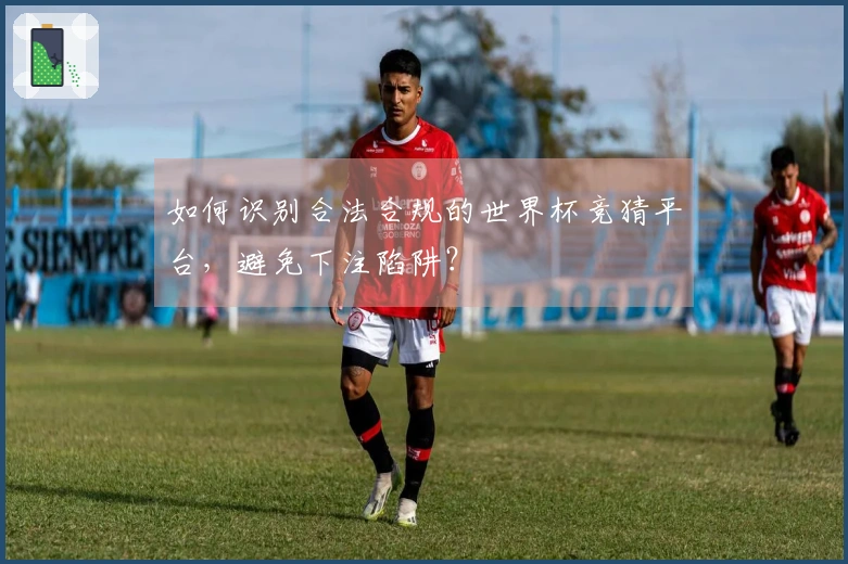 如何识别合法合规的世界杯竞猜平台，避免下注陷阱？