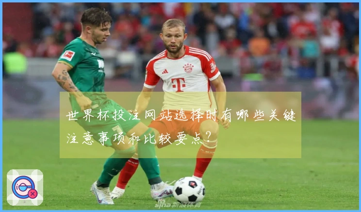 世界杯投注网站选择时有哪些关键注意事项和比较要点？