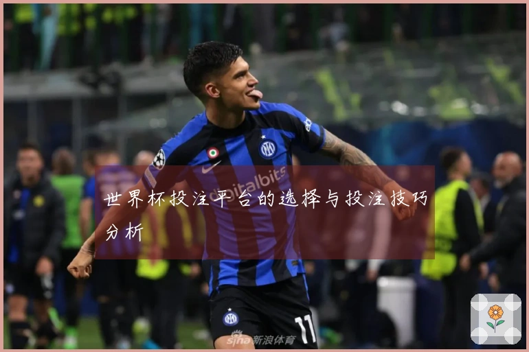 世界杯投注平台的选择与投注技巧分析
