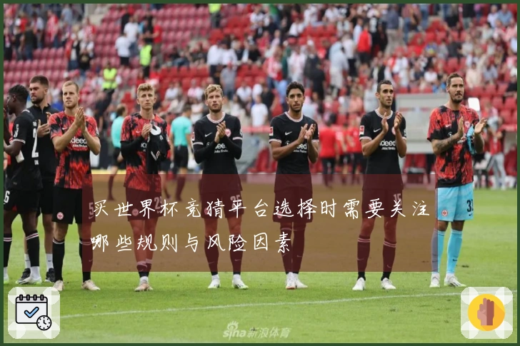 买世界杯竞猜平台选择时需要关注哪些规则与风险因素