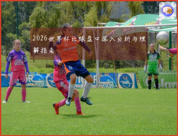 2026世界杯让球盘口深入分析与理解指南