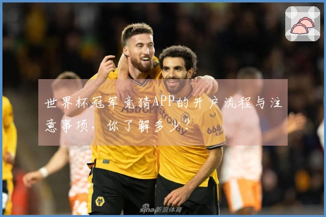 世界杯冠军竞猜APP的开户流程与注意事项，你了解多少？