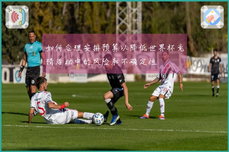 如何合理安排预算以降低世界杯竞猜活动中的风险和不确定性