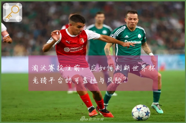 淘汰赛投注前，应如何判断世界杯竞猜平台的可靠性与风险？