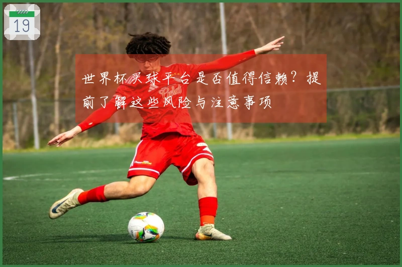 世界杯买球平台是否值得信赖？提前了解这些风险与注意事项