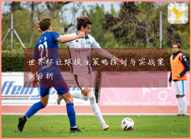 世界杯让球投注策略探讨与实战案例分析