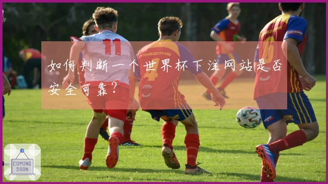 如何判断一个世界杯下注网站是否安全可靠？