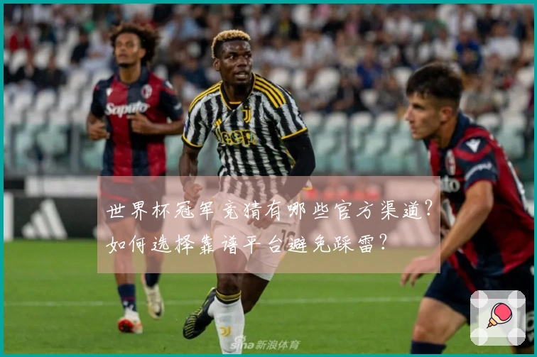 世界杯冠军竞猜有哪些官方渠道？如何选择靠谱平台避免踩雷？