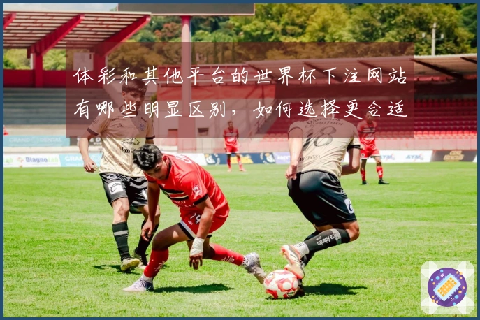 体彩和其他平台的世界杯下注网站有哪些明显区别，如何选择更合适？