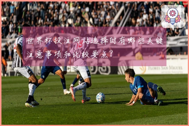 世界杯投注网站选择时有哪些关键注意事项和比较要点？