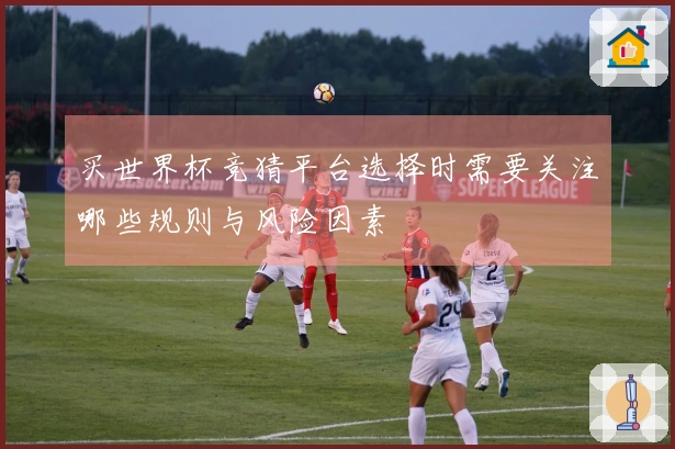 买世界杯竞猜平台选择时需要关注哪些规则与风险因素