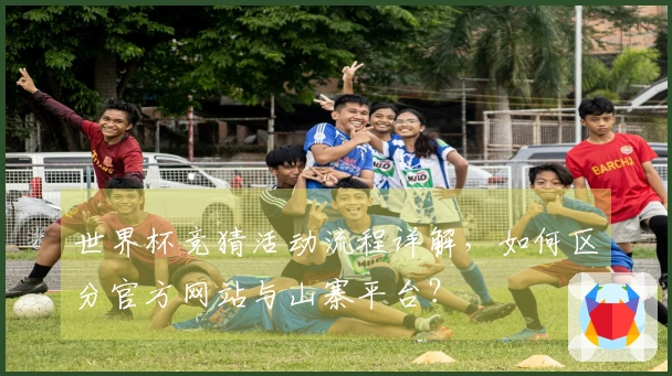 世界杯竞猜活动流程详解，如何区分官方网站与山寨平台？
