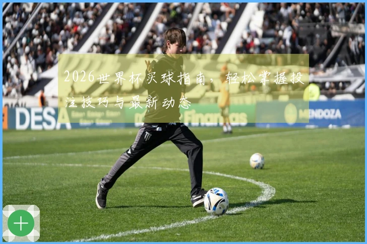 2026世界杯买球指南，轻松掌握投注技巧与最新动态