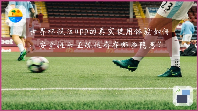 世界杯投注app的真实使用体验如何，安全性和正规性存在哪些隐患？