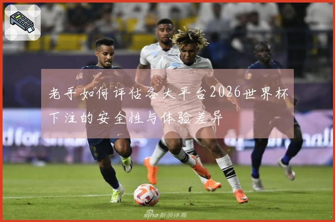 老手如何评估各大平台2026世界杯下注的安全性与体验差异