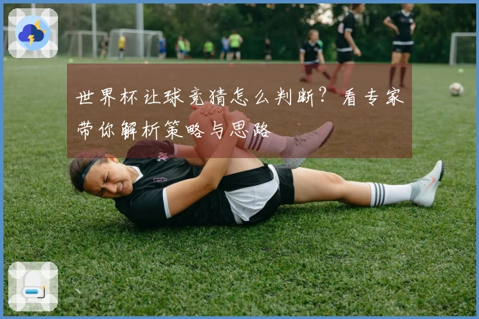 世界杯让球竞猜怎么判断？看专家带你解析策略与思路