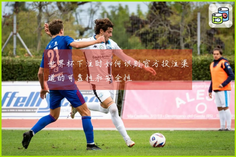 世界杯下注时如何识别官方投注渠道的可靠性和安全性