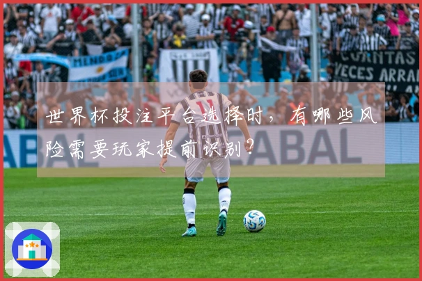 世界杯投注平台选择时，有哪些风险需要玩家提前识别？