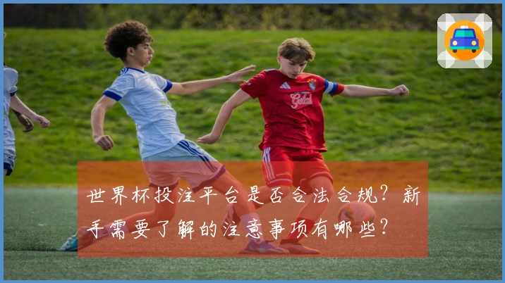 世界杯投注平台是否合法合规？新手需要了解的注意事项有哪些？