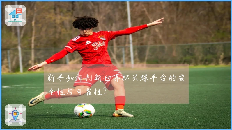 新手如何判断世界杯买球平台的安全性与可靠性？
