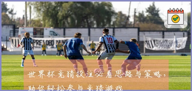 世界杯竞猜投注必看思路与策略，助你轻松参与竞猜游戏