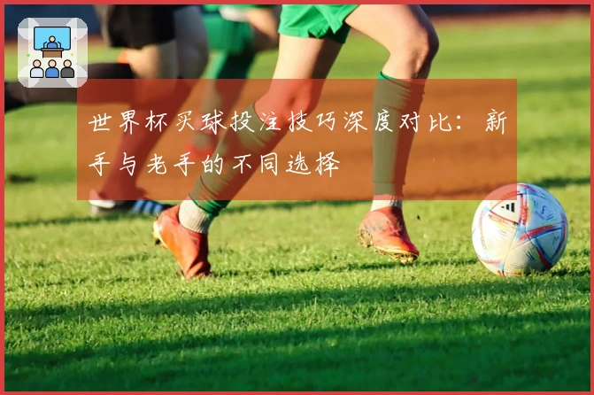 世界杯买球投注技巧深度对比：新手与老手的不同选择