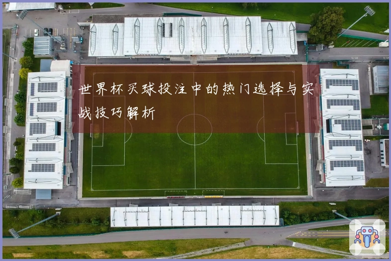 世界杯买球投注中的热门选择与实战技巧解析