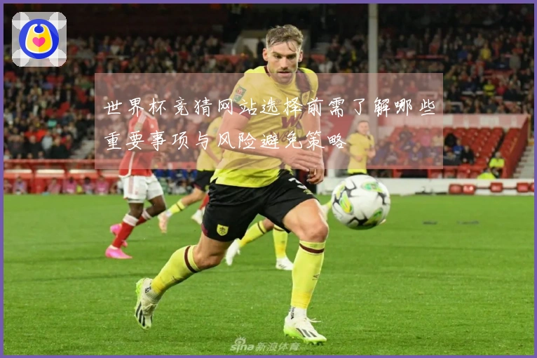 世界杯竞猜网站选择前需了解哪些重要事项与风险避免策略