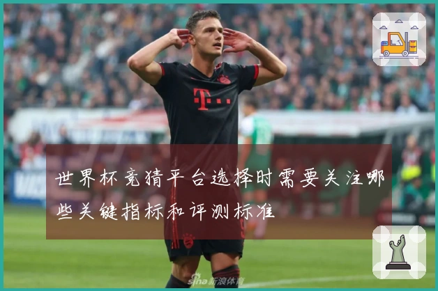 世界杯竞猜平台选择时需要关注哪些关键指标和评测标准