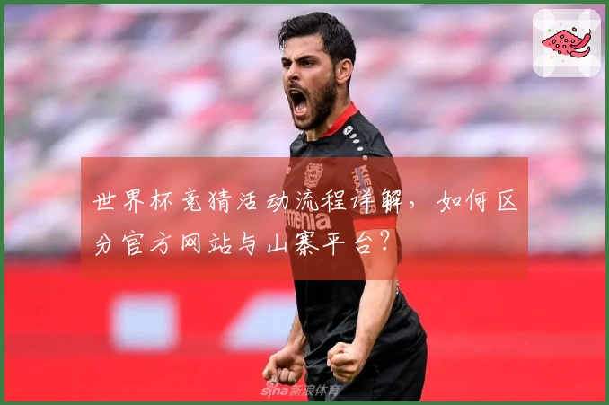 世界杯竞猜活动流程详解，如何区分官方网站与山寨平台？