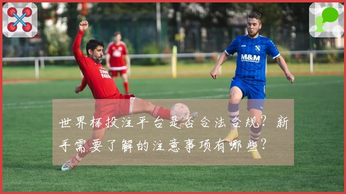 世界杯投注平台是否合法合规？新手需要了解的注意事项有哪些？